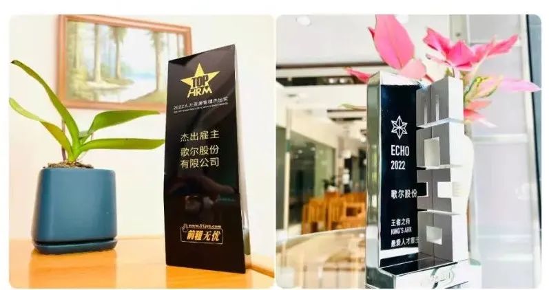 ��ʰɡ�(�й���)���޹�˾����