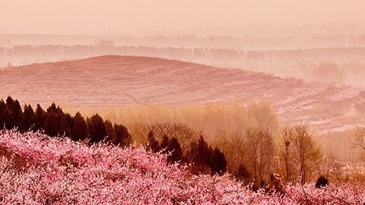 ��ʰɡ�(�й���)���޹�˾����