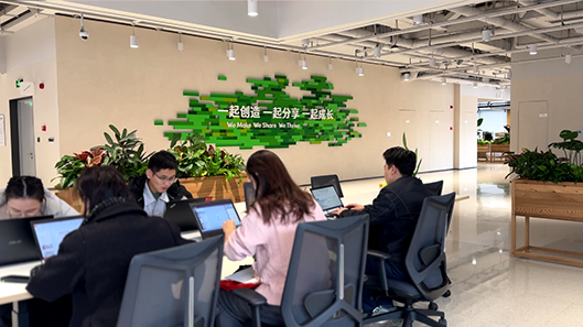 ��ʰɡ�(�й���)���޹�˾����