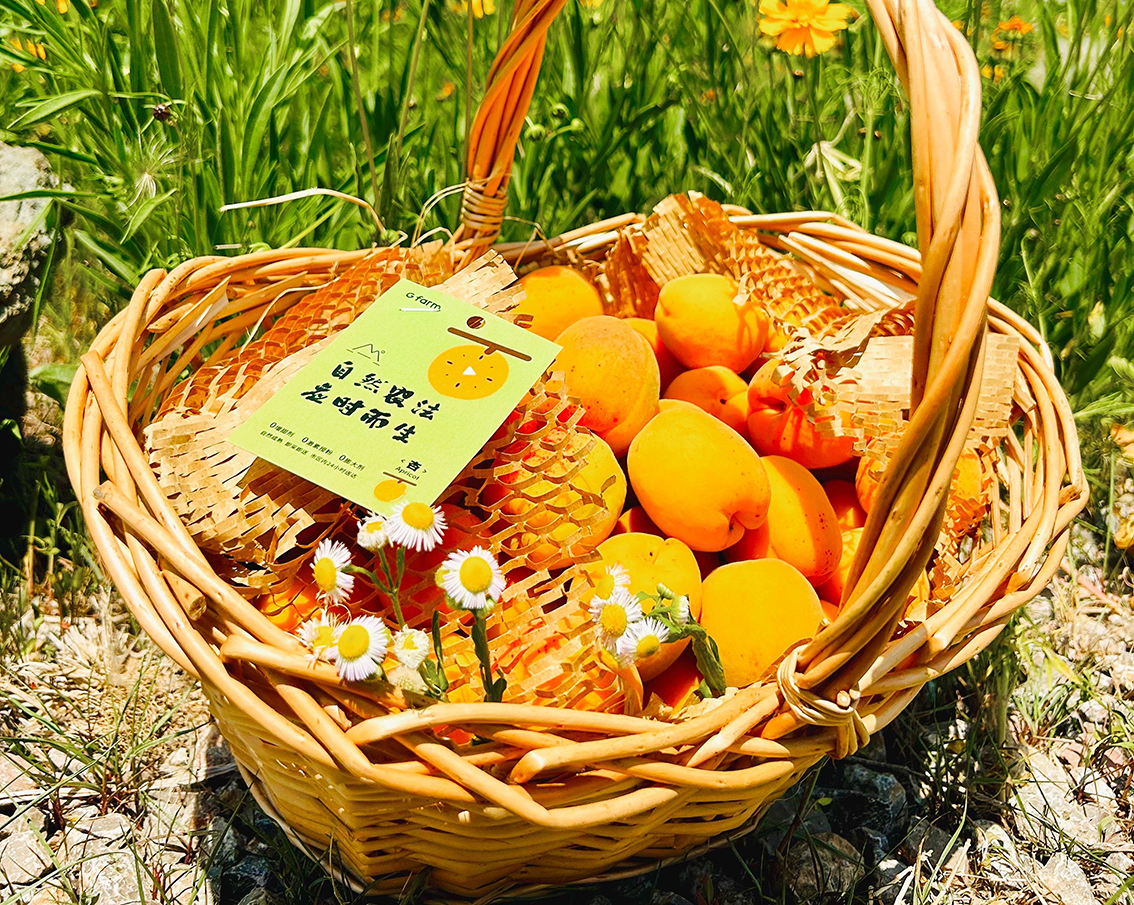 ��ʰɡ�(�й���)���޹�˾����