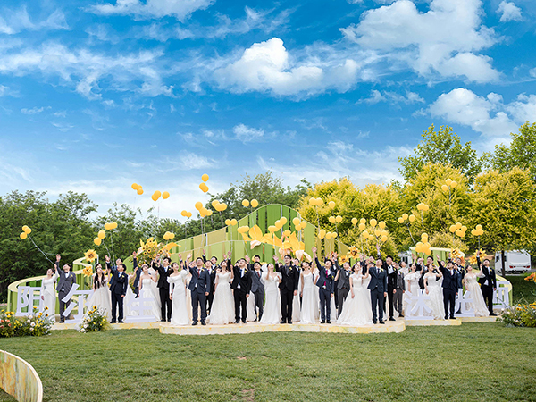 ��ʰɡ�(�й���)���޹�˾����